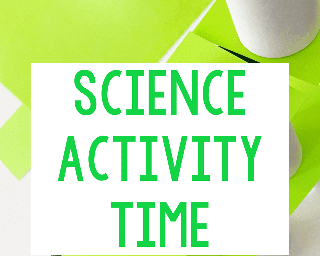 Science Activity